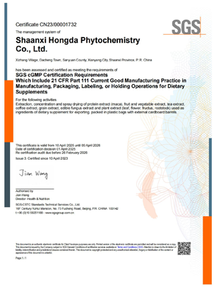 cGMP