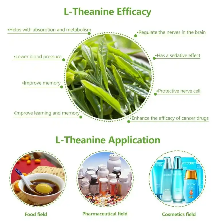 Green tea extract benefits and uses
