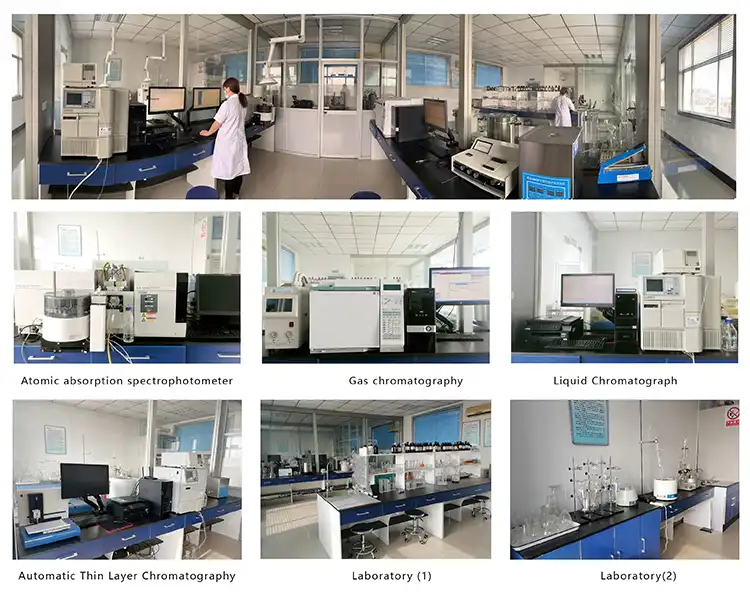 Our laboratory