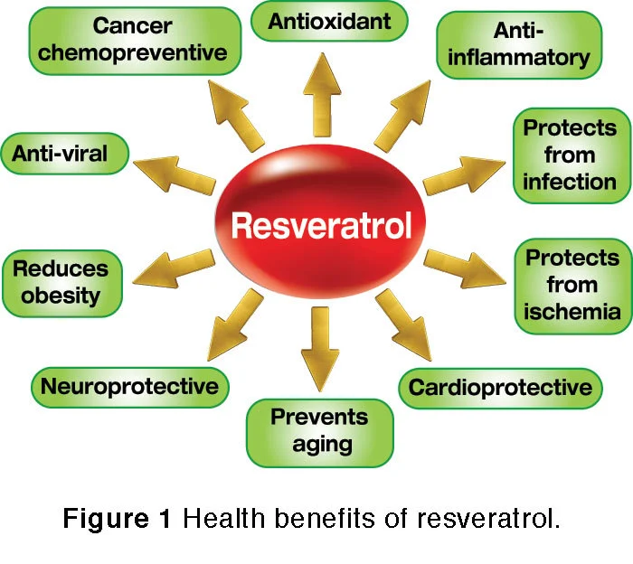 Pure Resveratrol Extract Benefits: