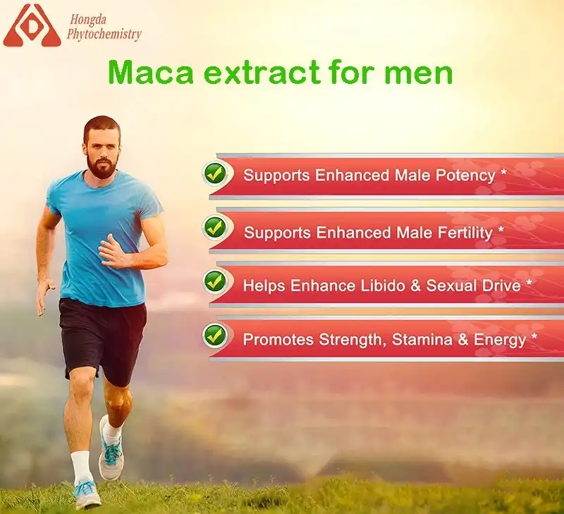Maca extract for men