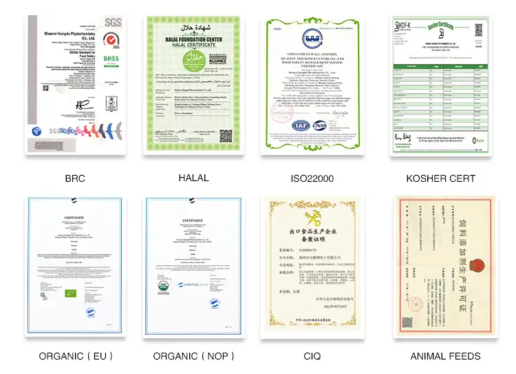 Our certification