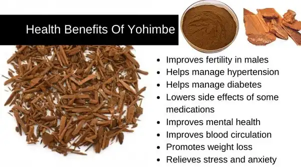 Yohimbe extract benefits 
