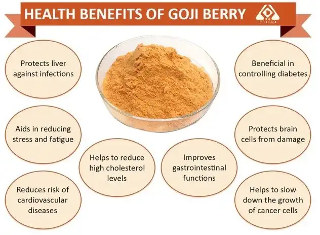 Wolfberry Extract Benefits: