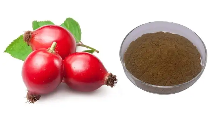 Rosehip extract powder