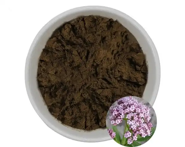 Valerian Root Extract Powder