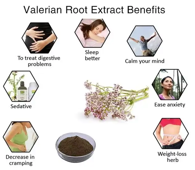 Valerian root extract benefits 