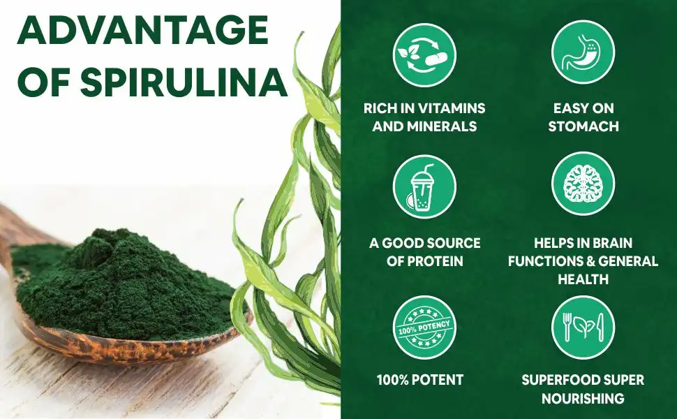 Bulk Spirulina Powder Benefits: