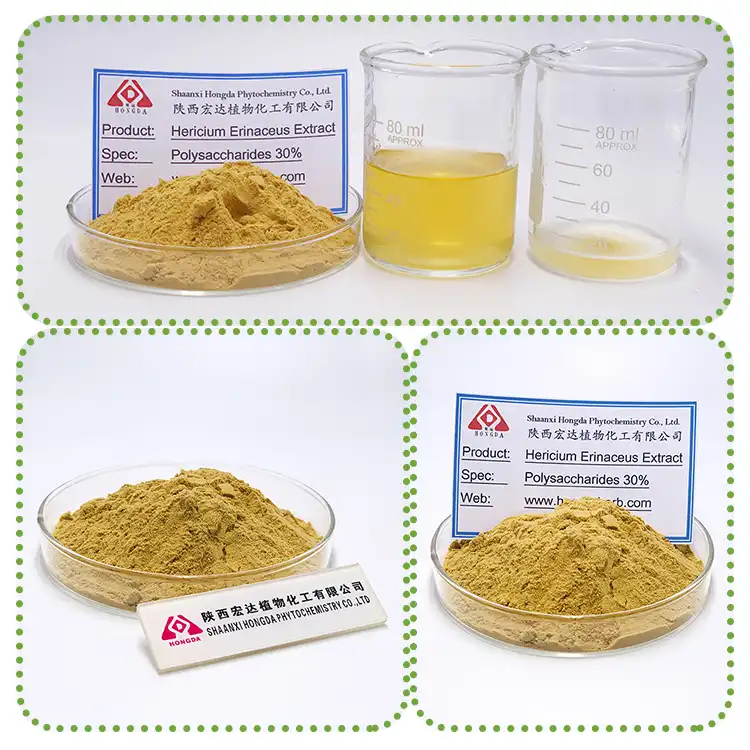 Lion's mushroom powder