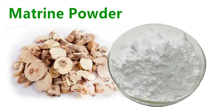 Sophora root powder