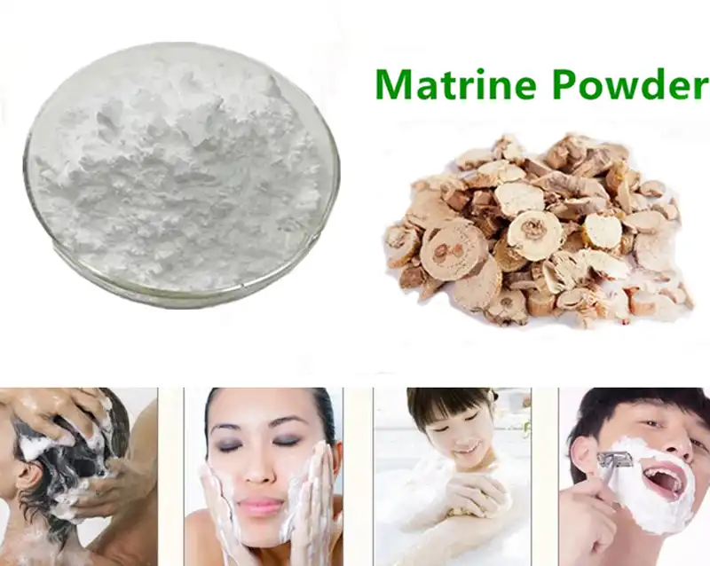 Sophora root powder benefits 