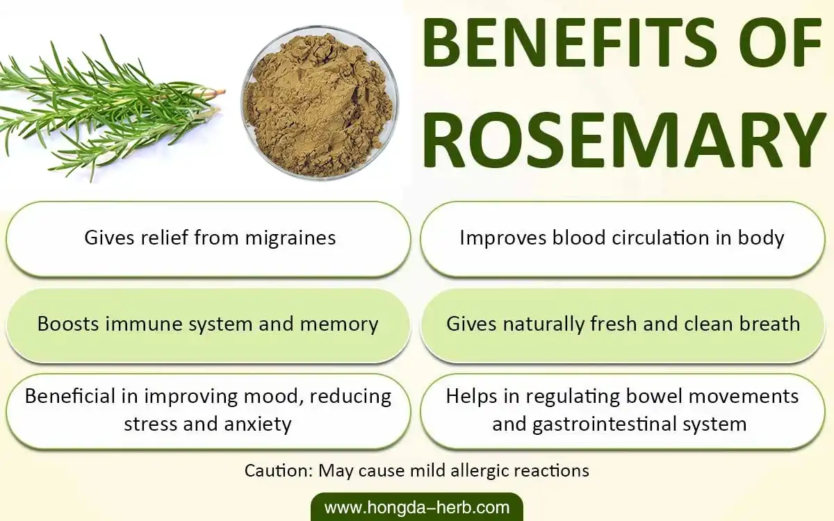 Rosemary benefits 