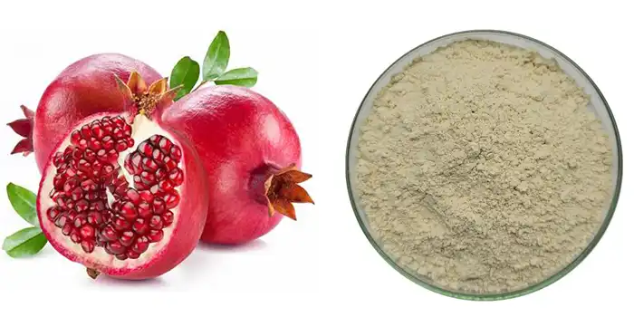 Pomegranate powder
