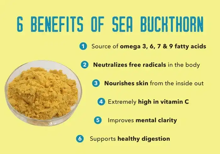 Sea Buckthorn Extract Powder Benefits: