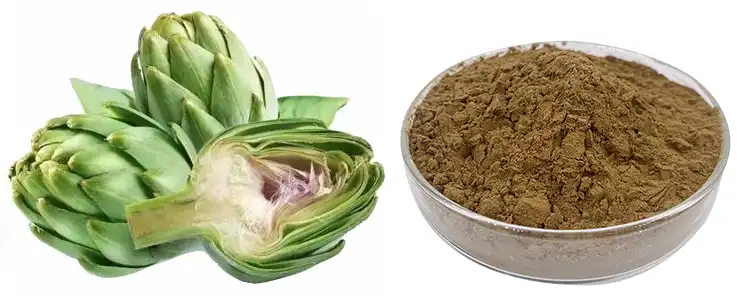 Artichoke powder