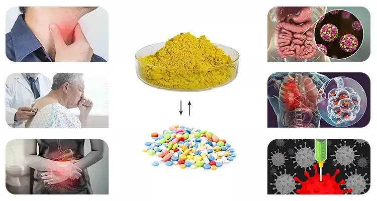 Berberine benefits 