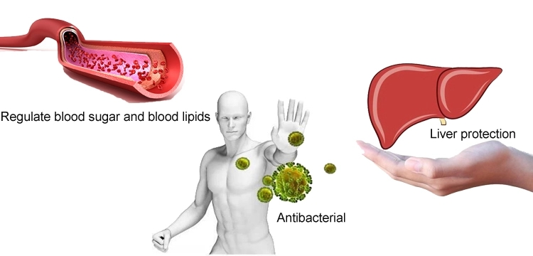 Vine Tea Extract Dihydromyricetin Benefits