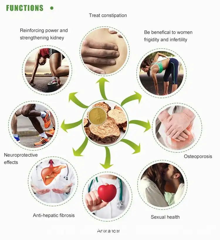 Cistanche powder benefits 