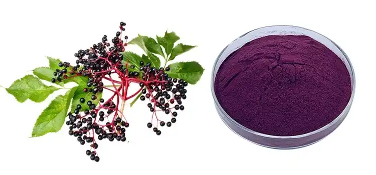 Elderberry powder