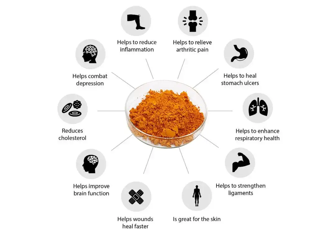 Curcumin powder benefits 