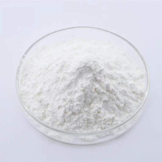 Progesterone Micronized Powder