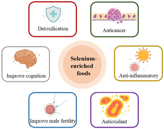 Selenium Enriched Yeast Benefits