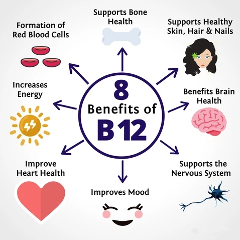 Vitamin B12 Powder Benefits 