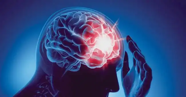 GABA for brain