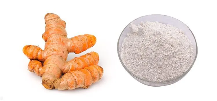Diosgenin powder
