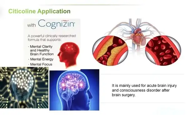 Citicoline Powder Benefits: