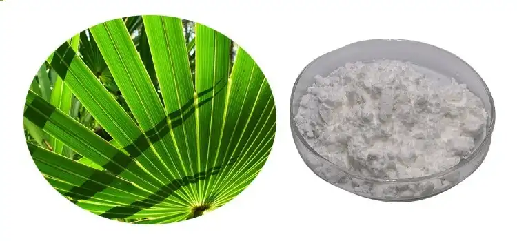 Saw Palmetto Powder