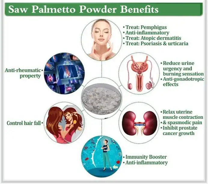 Saw Palmetto Extract Benefits