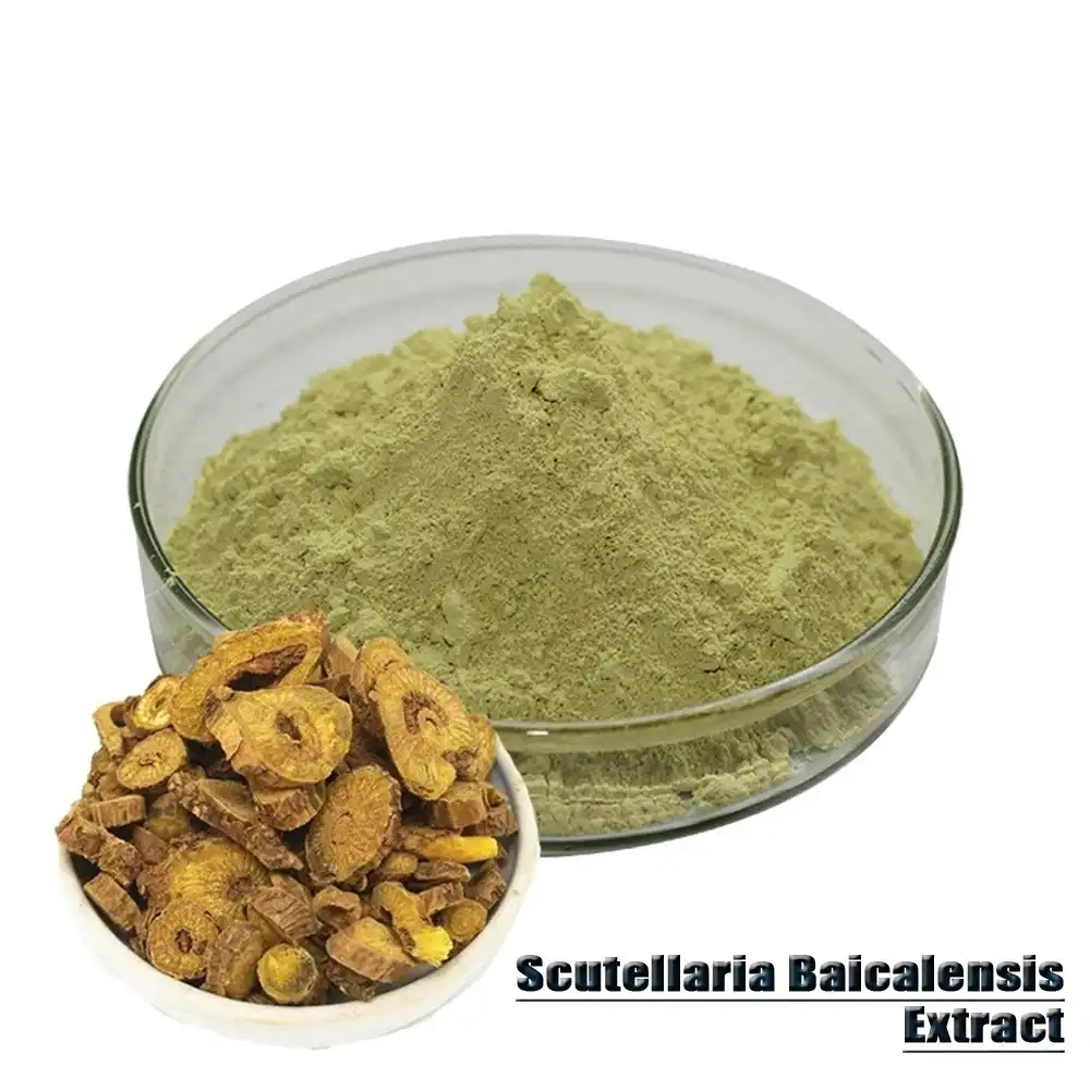  Scutellaria Baicalensis Extract Powder
