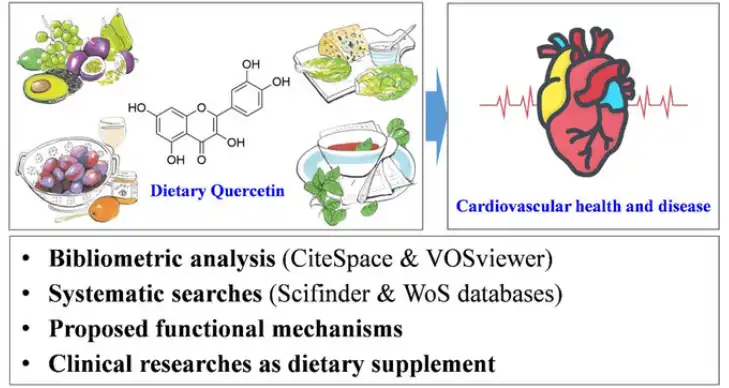 Quercetin Dihydrate Powder