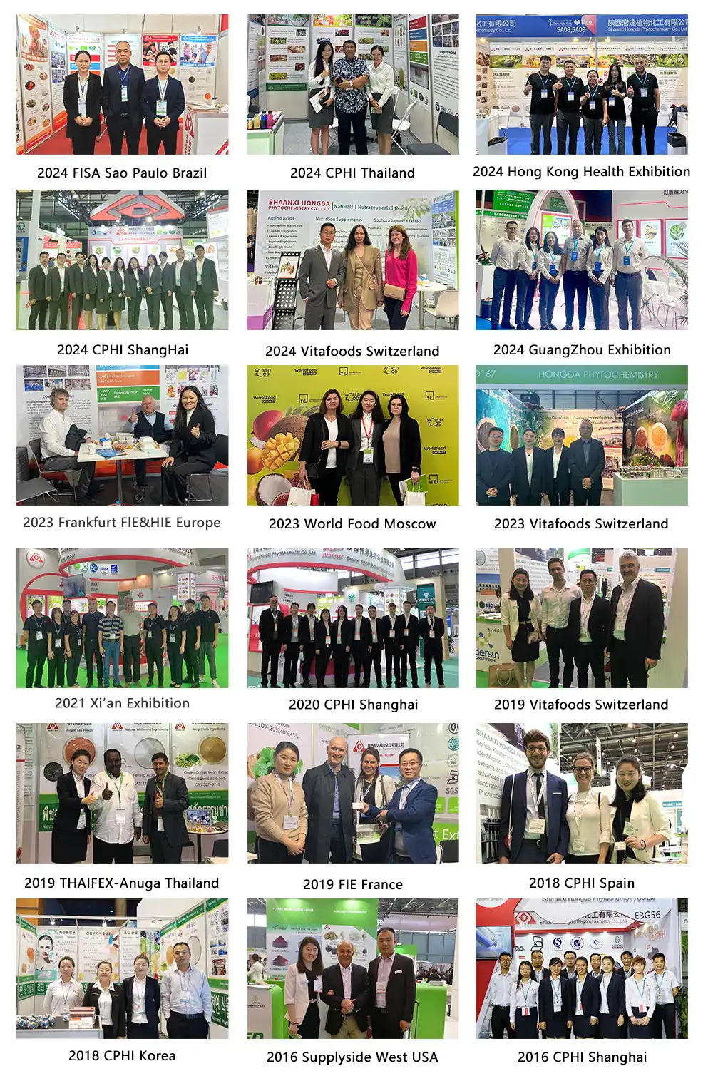 All Exhibitions