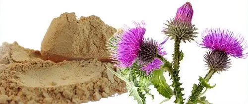 Milk Thistle Extract Powder 