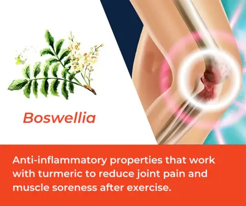 Boswellia Serrata Extract for joint