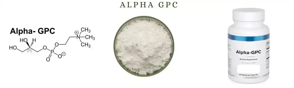 Shaanxi hongda's Alpha GPC Powder