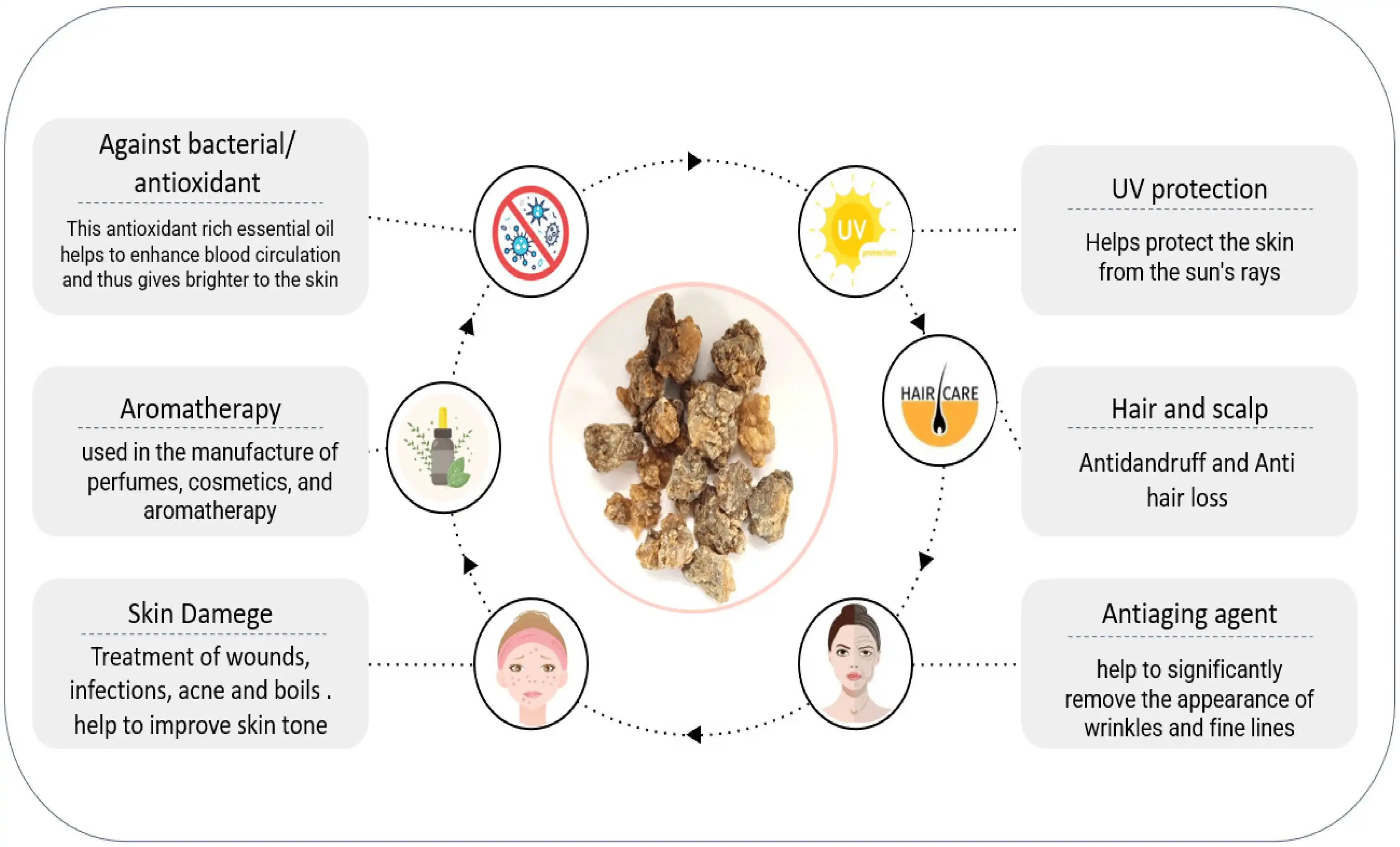 Boswellia Serrata Extract Powder for Skin Health